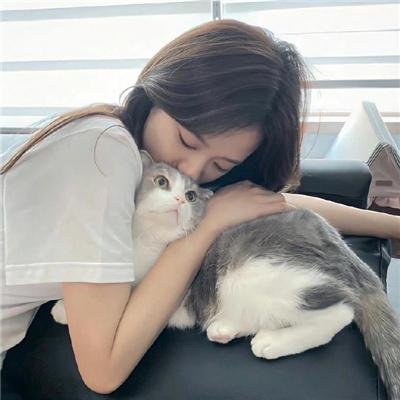 虎啸龙吟